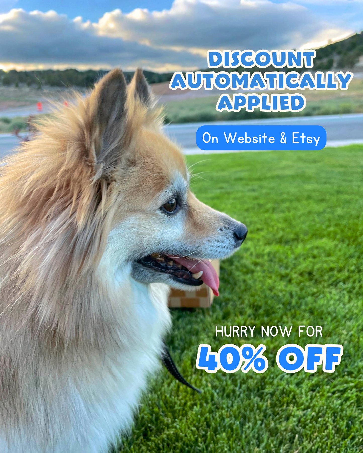 End of Summer Dog Goody Box | Seasonal Dog Treat and Toy Bundle | Freeze-Dried Treats, Ice Cream Mix, Bubbles, etc. | Picnic Limited Edition