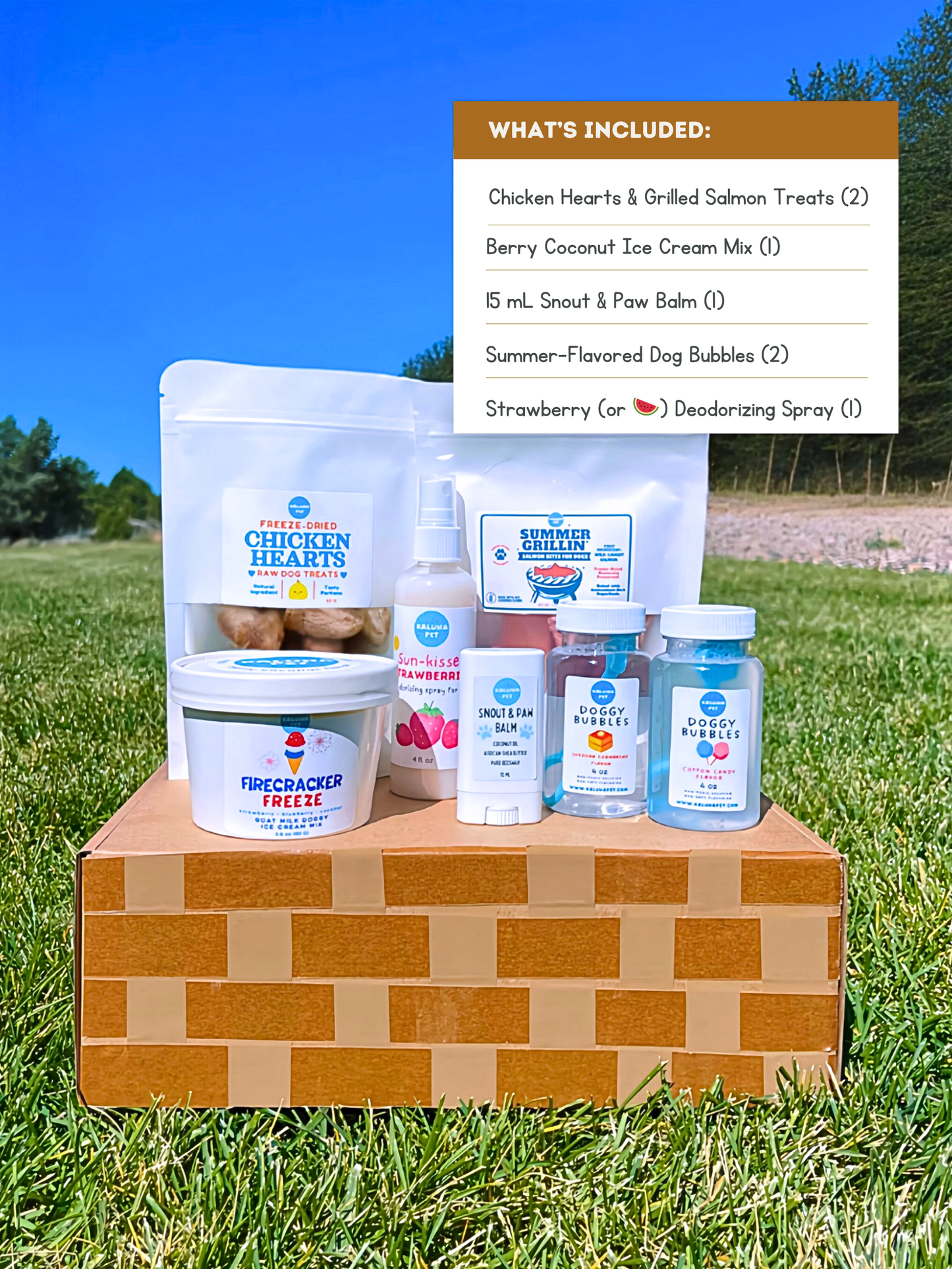 End of Summer Dog Goody Box | Seasonal Dog Treat and Toy Bundle | Freeze-Dried Treats, Ice Cream Mix, Bubbles, etc. | Picnic Limited Edition