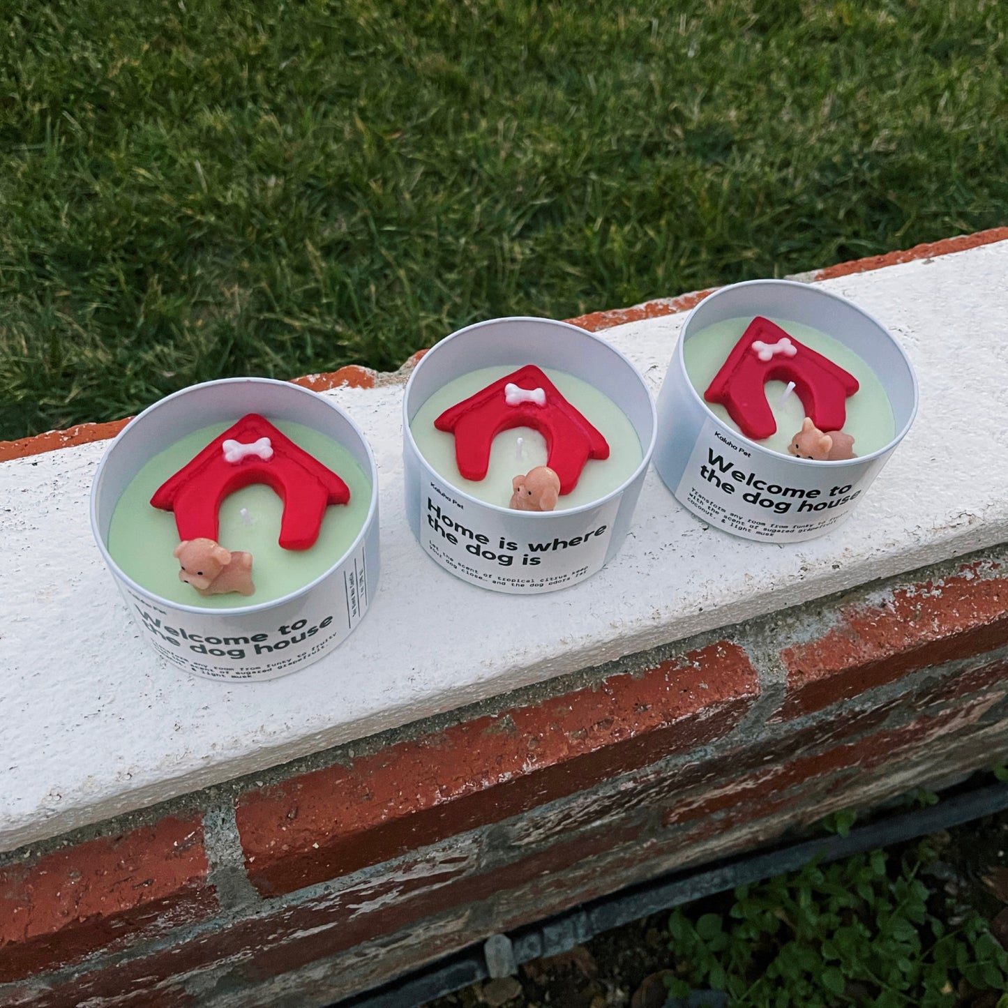 Dog House Candle - Tropical Island Scent