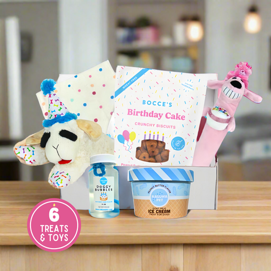 dog gift birthday treats and toys. Custom Birthday Dog Gift Box | Six Items (Toys, Treats, and Accessories)