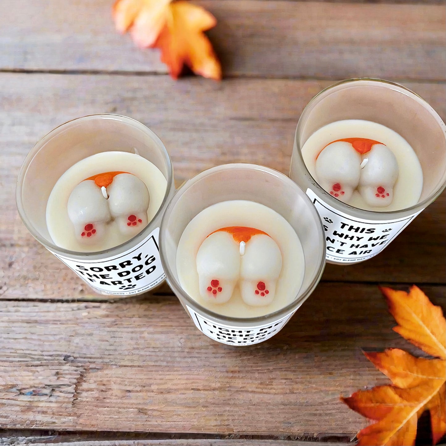 Light Me When the Dog Farts Novelty Candle – Autumn Churro Scent, Funny Soy Wax Blend Dog Butt Topper