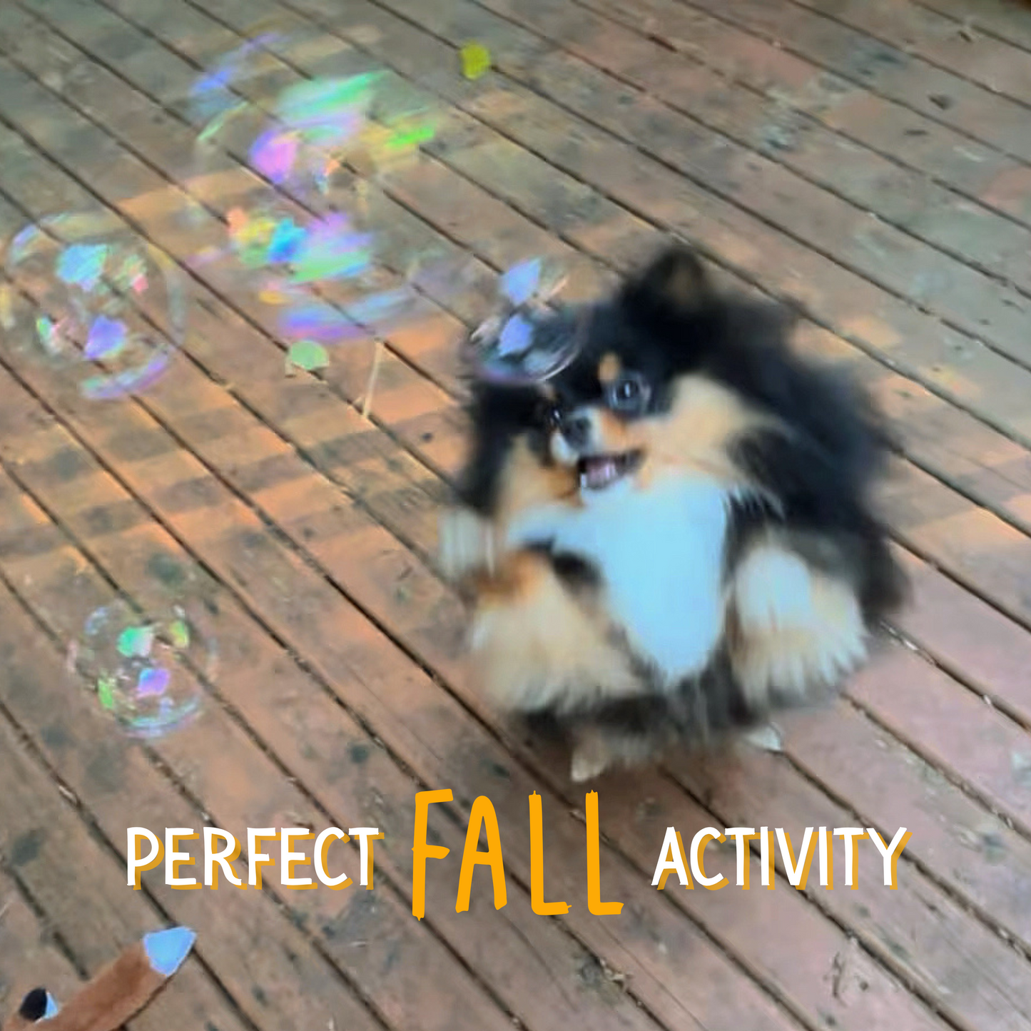 Pumpkin Pie Flavored Pet Bubbles | Scented & Flavored for Pets | Non-Toxic Solution, 4 ounce and 8 ounce