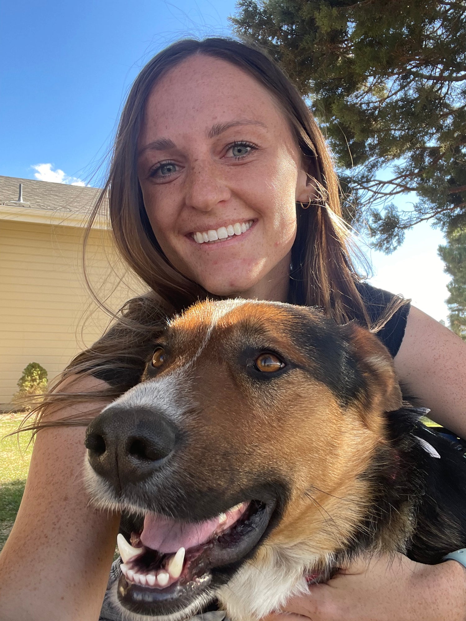 For Dog Parents