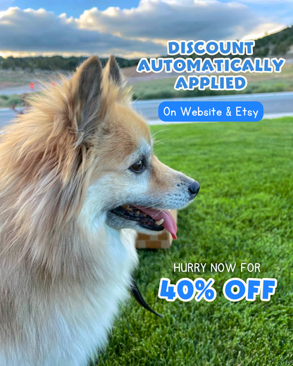 End of Summer Dog Goody Box | Seasonal Dog Treat and Toy Bundle | Freeze-Dried Treats, Ice Cream Mix, Bubbles, etc. | Picnic Limited Edition