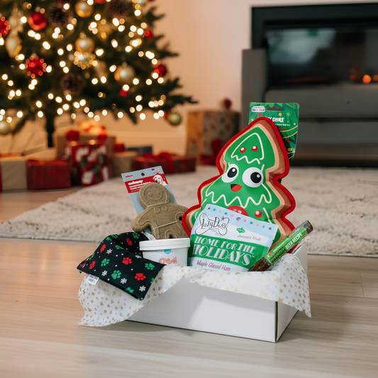 Christmas Dog Gift Box