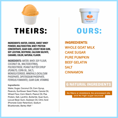 Pumpkin Pie Dog Ice Cream Mix – Healthy, Seasonal Dog Treat