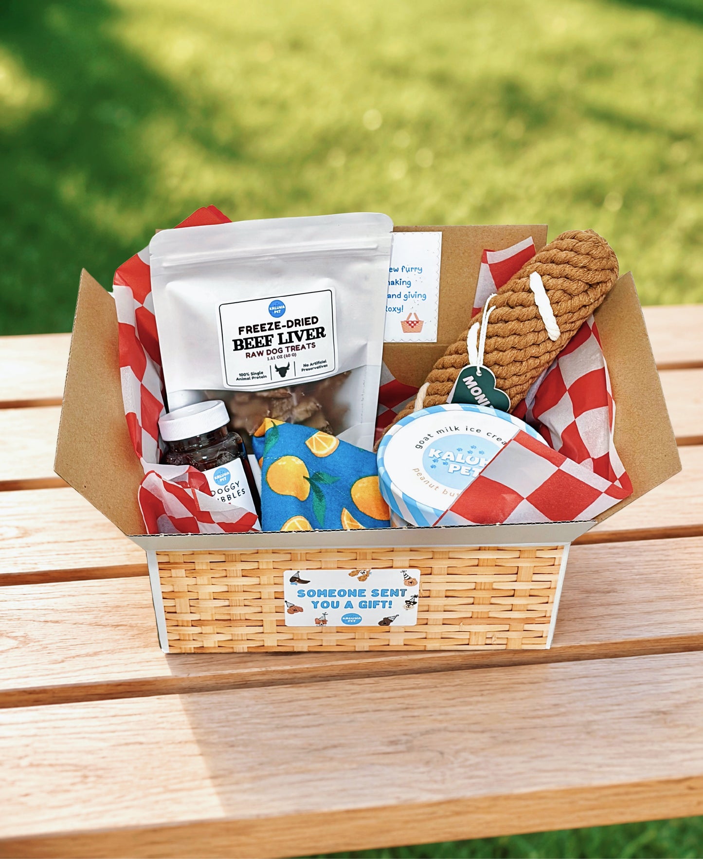 Gift-A-Picnic Dog Box | Personalized Dog Gift Basket | Goat Milk Ice Cream, Dog Bubbles, Treats & Custom Bandana | Dog Mom Gift