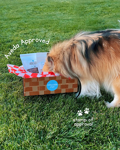 End of Summer Dog Goody Box | Seasonal Dog Treat and Toy Bundle | Freeze-Dried Treats, Ice Cream Mix, Bubbles, etc. | Picnic Limited Edition