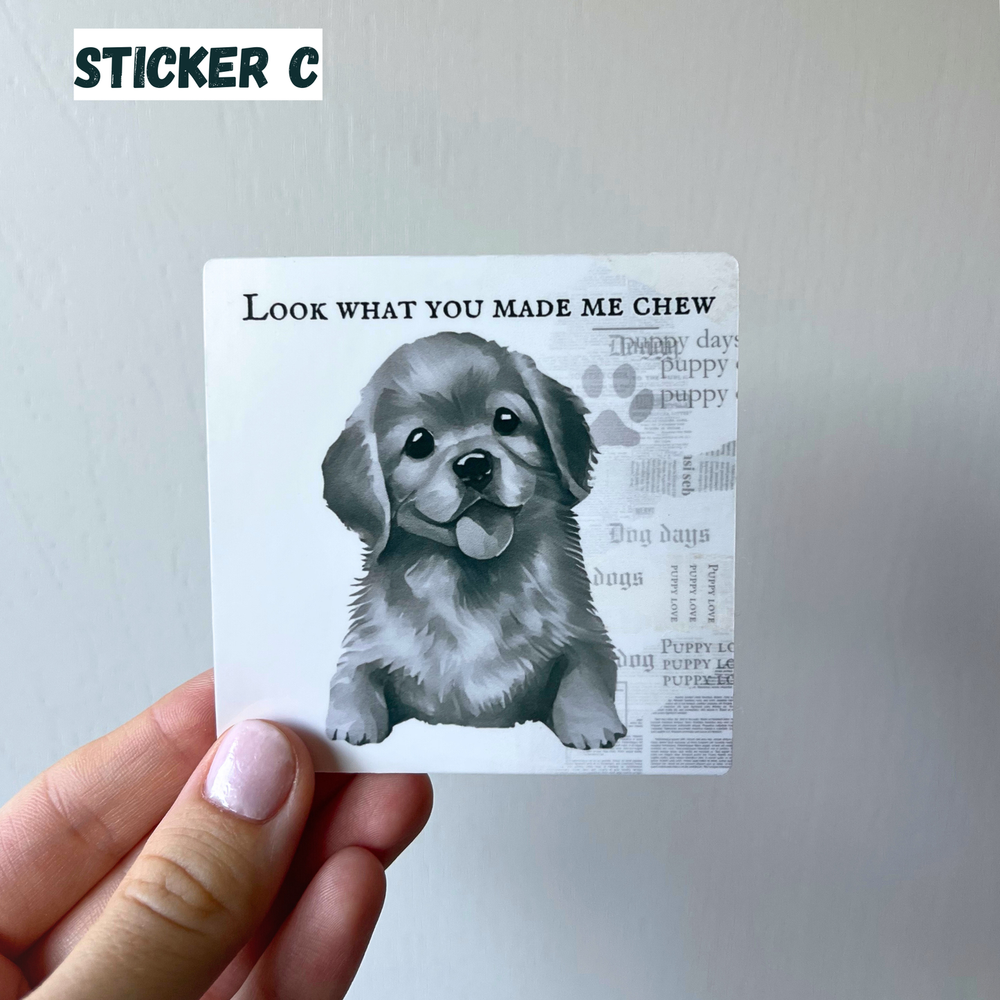 Taylor Swift Dog Vinyl Stickers – Perfect for Swifties, Dog Moms, Laptops, Water Bottles