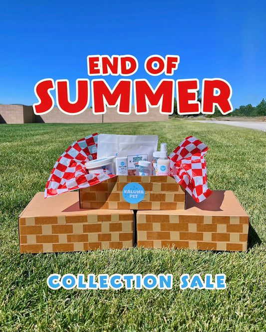 End of Summer Dog Goody Box | Seasonal Dog Treat and Toy Bundle | Freeze-Dried Treats, Ice Cream Mix, Bubbles, etc. | Picnic Limited Edition