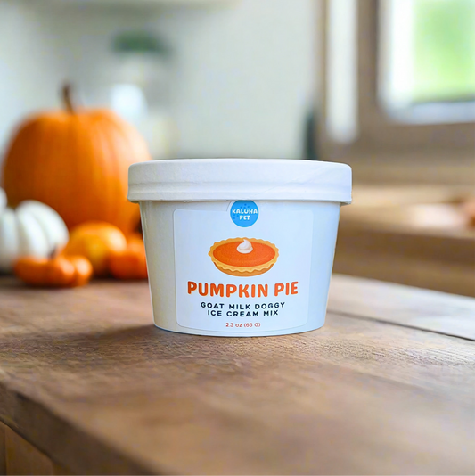 Pumpkin Pie Dog Ice Cream Mix – Healthy, Seasonal Dog Treat