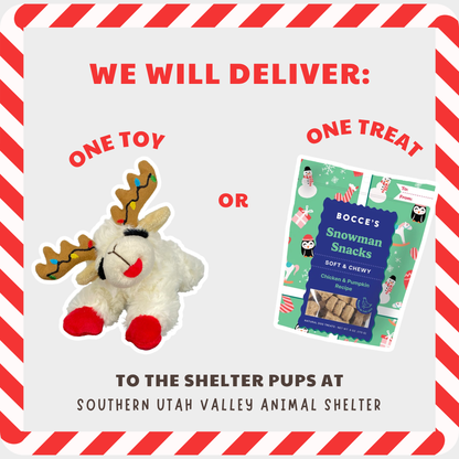 Donate a Gift to a Shelter Dog