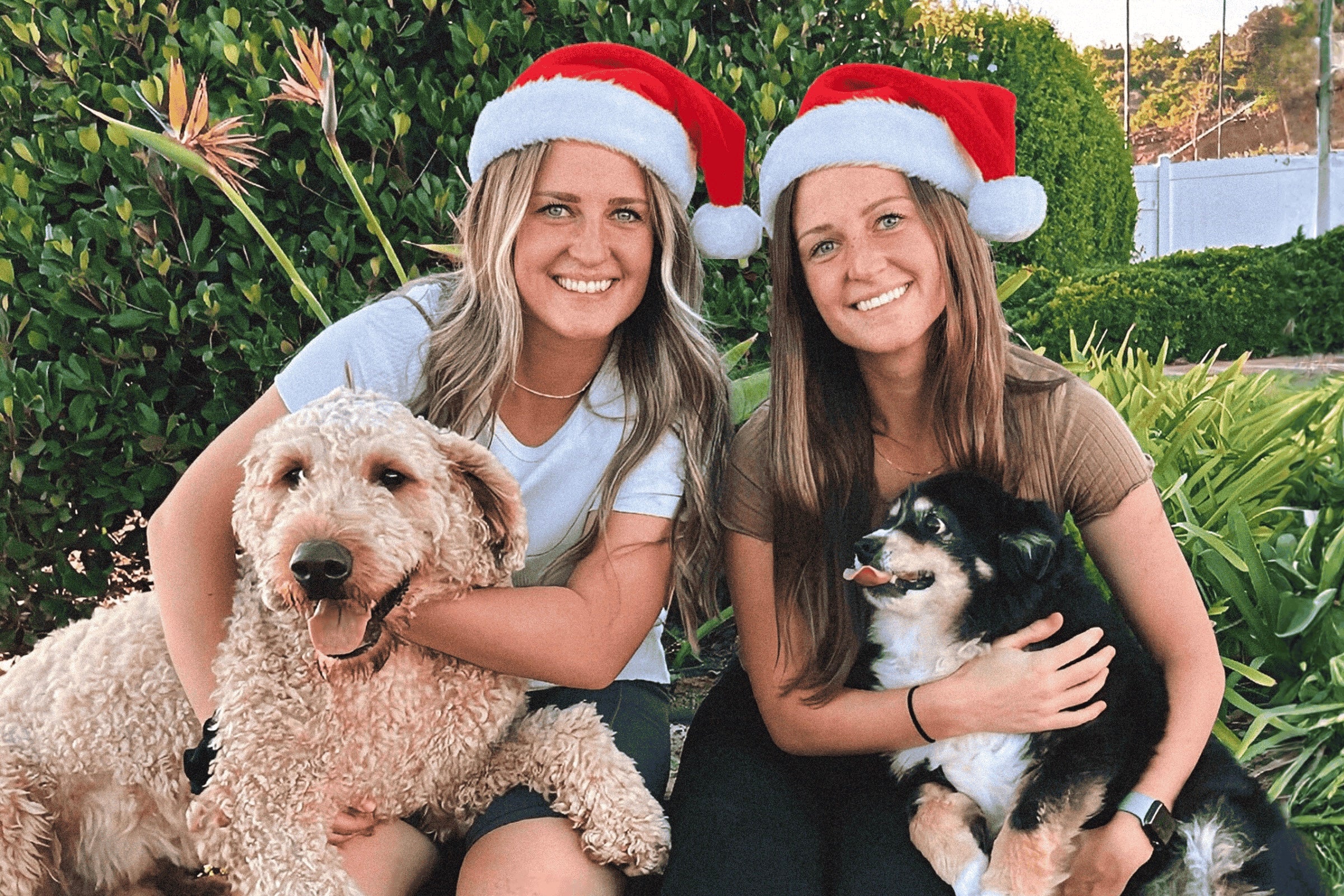 Two twin sister owners of Kaluha Pet wearing Santa hats sitting with their dogs outdoors.