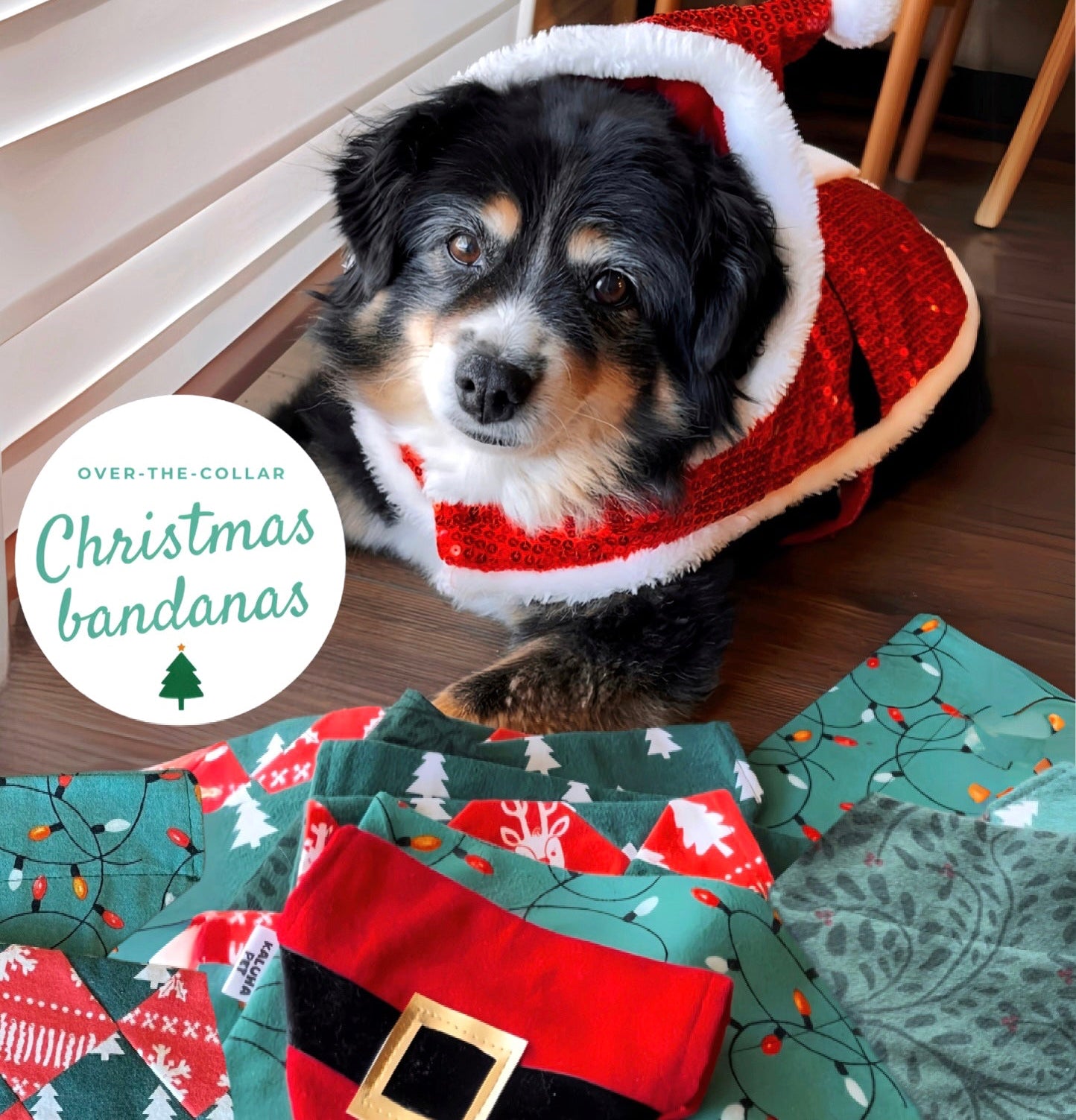 Dog wearing a Christmas-themed bandana with additional bandanas displayed below.