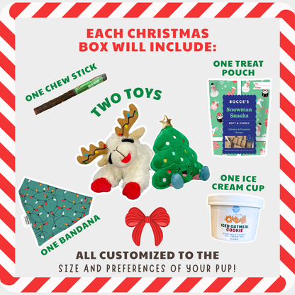 Christmas Dog Gift Box