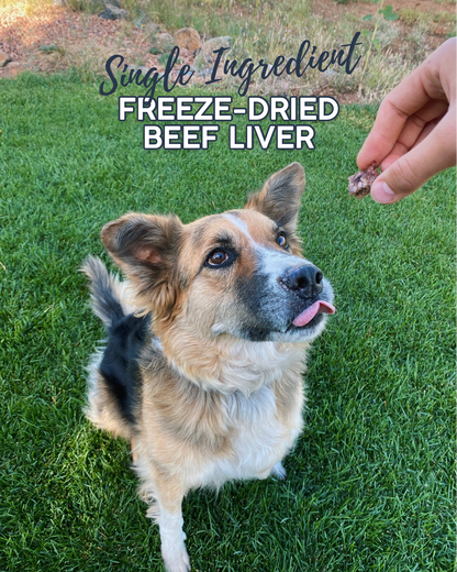 Freeze-Dried Raw Beef Liver | Natural Dog Treats | Single Ingredient, Meaty Treat