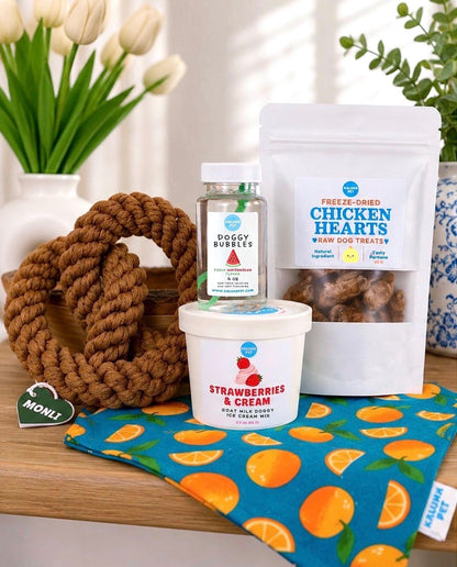Gift-A-Picnic Dog Box | Personalized Dog Gift Basket | Goat Milk Ice Cream, Dog Bubbles, Treats & Custom Bandana | Dog Mom Gift