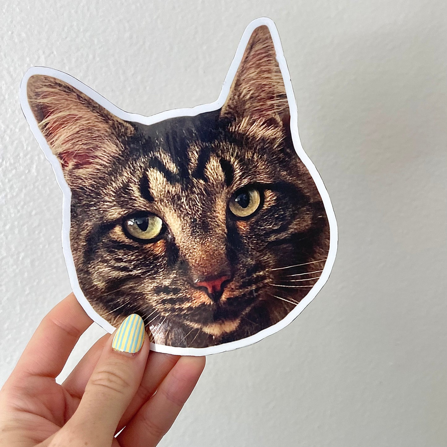 Custom Pet Face Car Magnet, High Quality Waterproof/UV Laminated