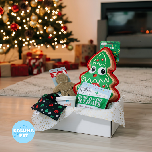 Dog toy and treats in a box with a Christmas tree and presents in the background