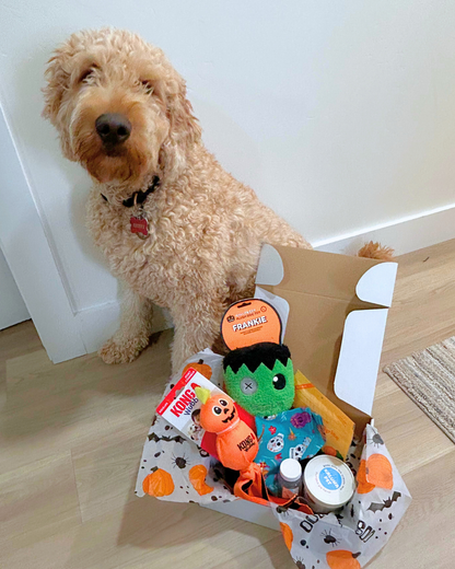Halloween Dog Gift Box | Six Festive Items