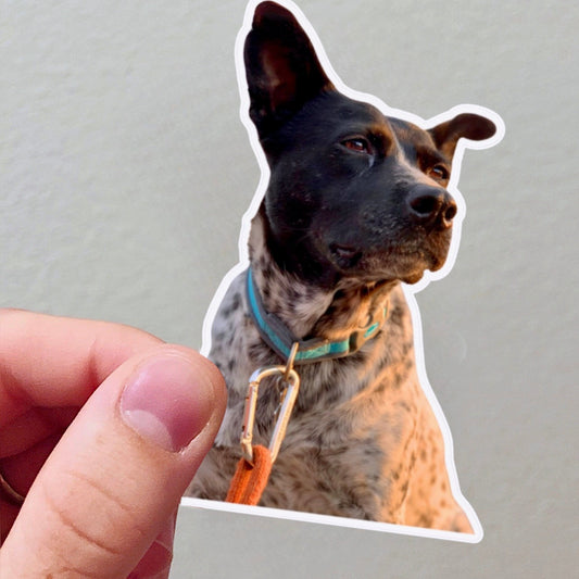custom photo dog waterproof vinyl sticker