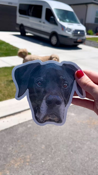 Custom Pet Face Car Magnet, High Quality Waterproof/UV Laminated