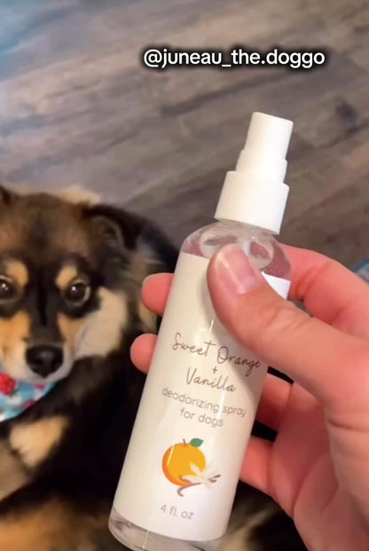 Deodorizing Dog Spray | Natural Pet Odor Eliminator | Scented Dog Deodorant | Sweet Orange Vanilla, Vanilla Spice