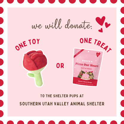 Be a Shelter Dog's Valentine